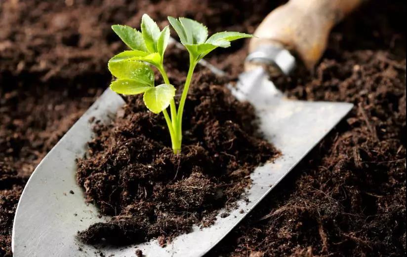 土壤修複常用(yòng)各種“標準值”