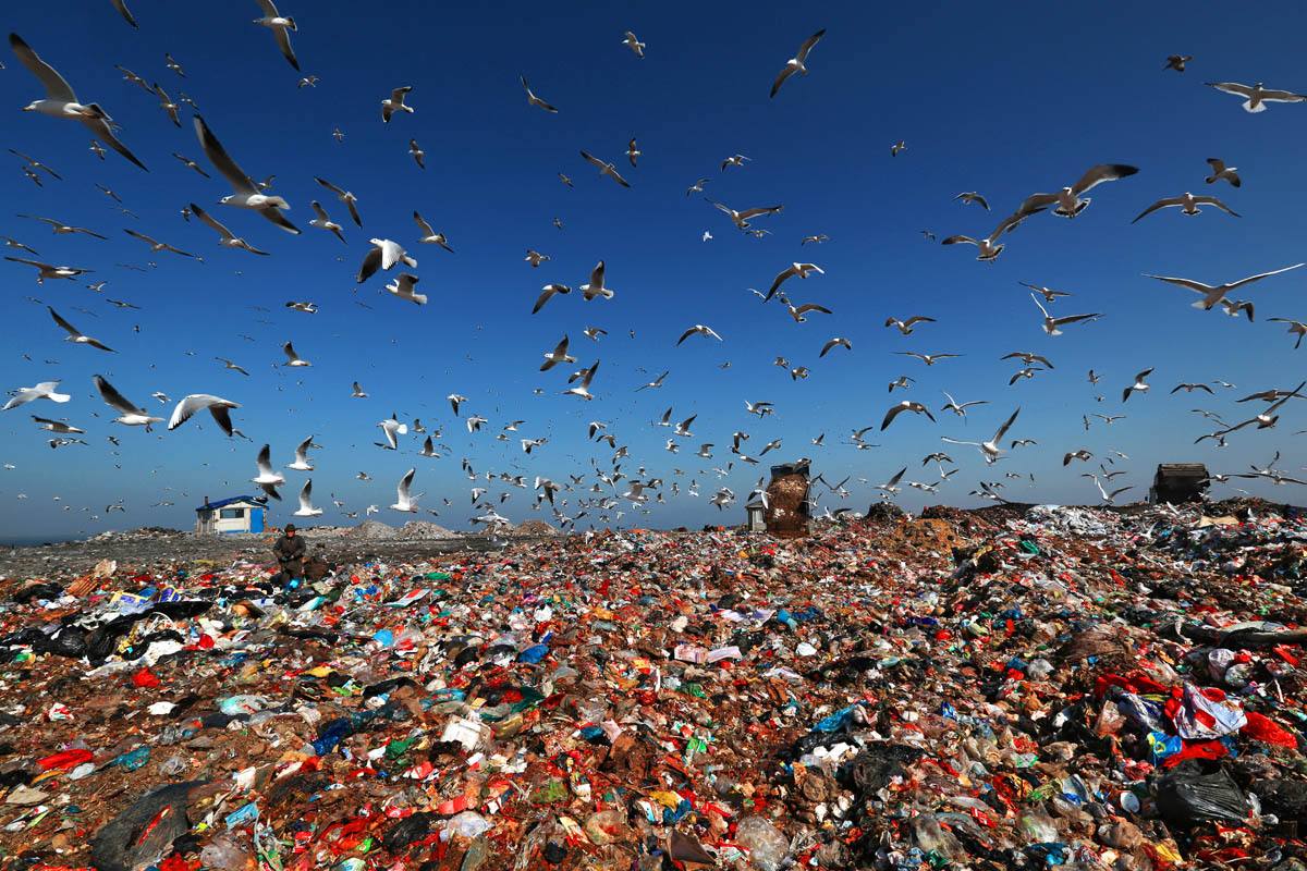 被嚴(yán)重低估的海洋塑料微粒數量